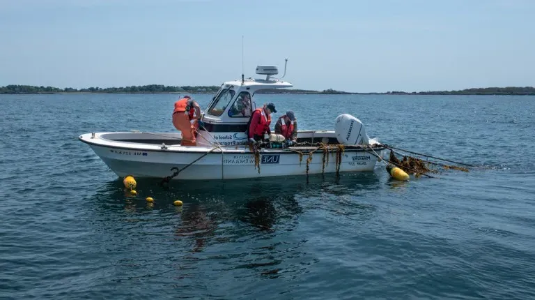 A group of U N E students on a boat in the Atlantic Ocean