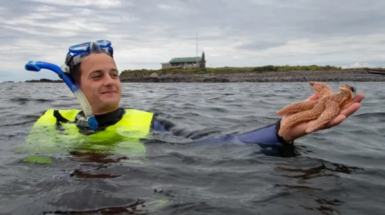 A student snorkeling gear holds a starfish above the ocean water